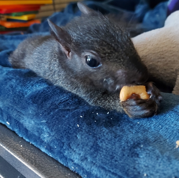 Meet your Posher, Kim - Picture 3 of 5